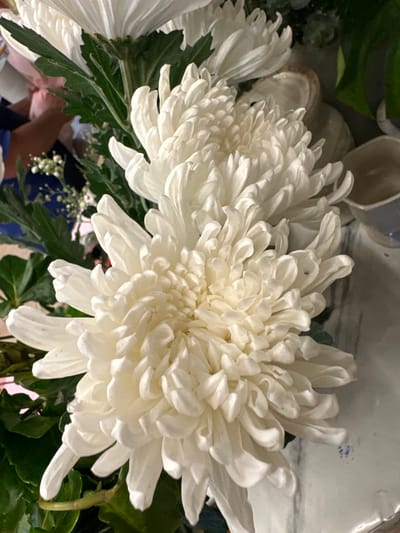 The media file displays a close-up, overhead view of a bouquet of white chrysanthemums. The flowers are the dominant subject, with their intricate, layered petals filling the frame. Lush green foliage is visible beneath and around the flowers, adding depth and contrast.

In the background, out of focus, are glimpses of other objects and potentially people, suggesting the bouquet is part of a larger arrangement or setting. A blurred, light-colored surface, possibly a vase or container, is visible at the top left. To the right, there are hints of a reflective surface and what appear to be blue smudges, possibly part of the decor or the container.

Beneath the flowers, parts of what seem to be human hands and arms are visible, suggesting someone is arranging or holding the bouquet. The clothing of these individuals is not clearly discernible. Small, delicate white flowers, possibly baby's breath, are scattered amongst the greenery, adding a finer texture to the bouquet.

The lighting suggests an indoor setting, possibly during daylight hours, given the bright illumination of the flowers. There are no discernible weather cues or strong emotional indicators, with the focus being on the beauty and detail of the floral arrangement. No visible text is present in the image. The overall impression is one of floral beauty and arrangement, likely in a domestic or commercial setting in Wichit, Thailand.