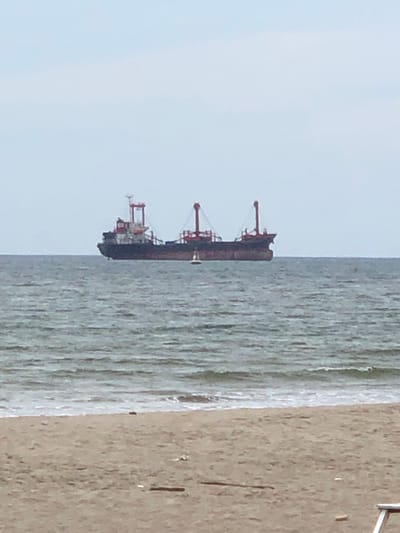 This is a vertical, medium-angle, full shot photograph taken outdoors during the day. The scene depicts a large, dark-colored ship with red cranes docked in the ocean. The ship is positioned in the center of the frame, oriented vertically with its bow to the top. The water is a light gray and appears choppy, with ripples and small waves. To the right of the water is a sandy beach, rendered in a sandy brown color, with some small debris scattered across its surface. The sky, visible on the left side of the frame, is a pale, overcast blue. The overall mood of the image is subdued, likely due to the overcast weather. The image appears to have been taken at a distance, as fine details of the ship and beach are not clearly discernible. The orientation of the photograph is unusual, with the majority of the scene presented sideways. There is no visible text in the image.