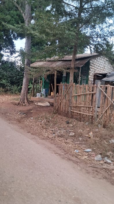 The image depicts an outdoor scene in what appears to be a rural or semi-urban environment, characterized by a mix of natural elements and a small, rustic human-made structure. The overall impression is one of simplicity and informality.
In the foreground and extending to the right side of the image, there is a light brown, unpaved dirt road. The surface of the road shows some unevenness and small pebbles. To the left of the road, there's a patch of dry, earthy ground covered with sparse, withered vegetation, dried leaves, and scattered debris, which includes what looks like small pieces of plastic or other discarded materials.
Dominating the central and left portions of the image is a small, informally constructed building or shack. This structure appears to be built from various materials, possibly including corrugated metal or wooden planks for its walls, some of which are painted a dull green. In front of the building, there is a fence made from thin wooden poles or bamboo sticks, arranged both vertically and horizontally, creating a barrier. Underneath a small overhang or porch area of the building, some items are visible, including what look like plastic containers or buckets, suggesting it might be a small vendor stall or a dwelling.
On the far left of the frame, and extending upwards, are the trunks and extensive canopies of two large trees with abundant green foliage. Their roots are visible near the base of the structure and along the edge of the dirt path. Through the dense leaves of these trees, patches of a bright, possibly overcast or hazy, sky can be seen.
The lighting in the image suggests it is daytime, with no harsh shadows, implying either an overcast day or perhaps early morning or late afternoon light. No people or specific activities are visible, and there is no discernible text within the frame. The scene evokes a sense of a quiet, everyday setting.