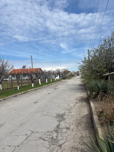 The image shows a street in Dobrovnitsa, Bulgaria, viewed from the perspective of someone standing on the edge of the road. The road surface is cracked and shows signs of wear. On the right side of the road, there is a raised concrete edge followed by overgrown vegetation. On the left side, there is a fence and a line of bare trees with white-painted trunks. Behind the fence, a house with an orange tile roof can be seen. Overhead, power lines stretch across the sky, which is partially covered with clouds. The overall impression is of a quiet, rural street on a cloudy day.