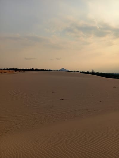 The image depicts a sand dune landscape in Phuoc Dinh, Vietnam. The scene is dominated by the large expanse of sand, showing patterns and textures created by wind and movement. Tire tracks are visible in the middle ground. In the background, a line of trees and a distant mountain can be seen against a dusky sky with some clouds. No people or animals are present. The overall environment suggests a remote, arid or semi-arid location.