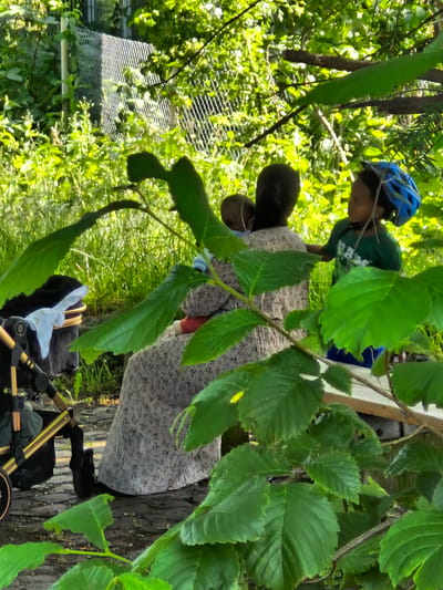The image shows a person wearing a blue helmet and a green shirt, leaning over a stroller. The person's face is obscured by shadows and foliage. The stroller has a patterned fabric and is partially covered by a white cloth. The scene appears to be outdoors, with lush green foliage and trees surrounding the subjects. Sunlight filters through the leaves, creating a dappled effect. In the background, a structure with a mesh-like covering can be seen, possibly a greenhouse or a garden enclosure. The overall impression is that of a casual outdoor activity, possibly a family outing or a moment of rest in a garden or park. The lighting suggests it is daytime, likely a sunny day. The image is oriented vertically, with the subjects appearing in the upper portion of the frame.