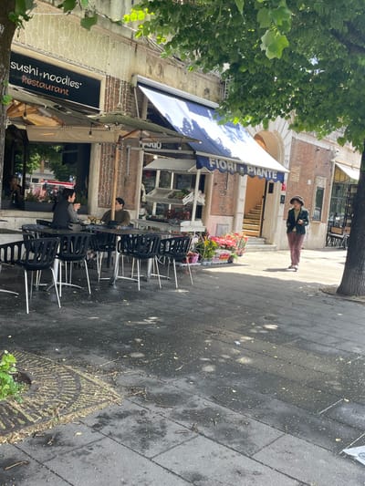 The image depicts a street scene in Rome, Italy, at the coordinates 41.881, 12.485. It shows a street corner with a "sushi & noodles" restaurant on the left and a flower stall on the right. Two people are seated at a table outside the restaurant, while a single person is walking away from the flower stall. The flower stall is covered by a blue awning, with a sign reading "Fiori e Piante" in white. The sidewalk is paved with gray stone, with some yellow leaves scattered across the surface. The building on the left has a brick facade and is covered in white strings of lights. The image appears to have been taken on a sunny day, as the shadows cast by the buildings are visible. There are large green trees and shrubs on the right side of the image, as well as more smaller trees and shrubs in the background. The flower stall is filled with plants and flowers, and the scene is peaceful and lively. A wooden door is visible on the flower stall side of the street. It is open to the left. There is a set of stairs leading up to a doorway behind the flower stall. The entrance is shaded by a large green tree, as is the sidewalk. The air is clear and the sky is blue, although the sky is not visible in the image.