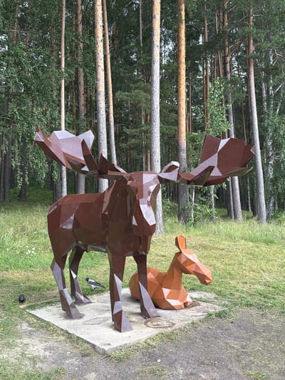 The image depicts an outdoor scene in the city of Zarechny, Russia, featuring two abstract, polygonal metal sculptures of moose. The larger sculpture, a standing bull moose, is dark brown and positioned in the foreground. To its right and slightly behind, a smaller, tan-colored sculpture of a reclining moose is visible. Both sculptures are set on a concrete base. The environment surrounding the sculptures is a grassy area with scattered dirt patches. Behind the sculptures, a dense forest of tall pine and birch trees dominates the background. The lighting suggests an overcast day. A small bird, appearing to be a crow, is standing on the concrete base near the legs of the larger moose sculpture, and a pigeon is on the ground to the left of the concrete base.