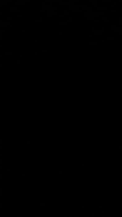 The provided image and all its crops are entirely black. No subjects, objects, scenes, or settings are discernible. There is no visible activity or event taking place. Consequently, no notable details such as time of day, weather, location cues, or emotions can be identified. No text is visible in the media file.