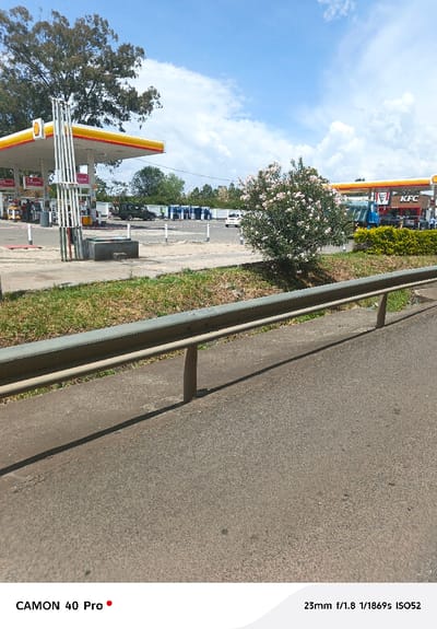 The image depicts an outdoor scene showcasing a commercial establishment, specifically a Shell gas station co-located with a KFC restaurant, viewed from across a roadway and a median strip. This location is in Nakuru, Kenya.

In the foreground, a dark asphalt road occupies the bottom portion of the frame. A light grey metal guardrail with two vertical supports is positioned above the road, running horizontally across the lower-mid section. Behind the guardrail, a narrow strip of sparse, dry green grass forms a median, followed by a dense bush with numerous light pink and white flowers on the right side.

The midground features the Shell gas station, identifiable by its yellow and red canopy supported by white pillars. Multiple fuel pumps with white and red components are visible beneath the canopy. A distinct structure composed of vertical white and multi-colored striped poles stands near the foreground. Several vehicles are present within the gas station area, including a dark green SUV near the pumps and a white car further back. To the right, an additional building under a yellow and red Shell canopy prominently displays red "KFC" branding. A blue truck is partially visible near the KFC. Small green hedges are situated near the KFC building. Multiple individuals are visible near the pumps and the KFC, though their specific actions are indistinct due to distance.

The background consists of tall trees with dark green foliage, primarily on the left side, under a bright blue sky with scattered white cumulus clouds. Strong daylight is evident, casting shadows from the guardrail and other objects.