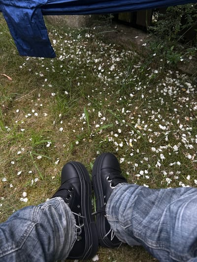 The image depicts a first-person, downward view of a subject's lower legs and feet, positioned outdoors in Gryfino, Poland. The subject wears distressed blue denim jeans and black platform sneakers with black laces and silver eyelets. The legs are extended forward over a ground covered with green grass. Numerous small, white petals are scattered densely across the entire visible grass area, indicating recent petal fall. In the upper left quadrant, a dark blue, possibly synthetic fabric or tarp, hangs partially into the frame. The upper right background features a darker, shaded area with green foliage and a grey, textured structure, possibly a wall or tree trunk. The scene is illuminated by natural light, showing no harsh shadows. No other individuals are visible.