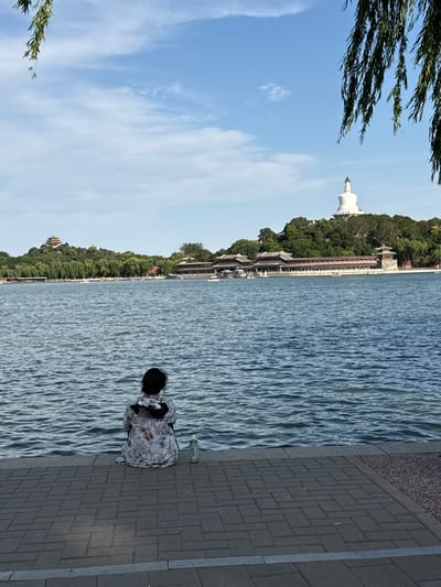 The image, correctly oriented, presents a serene daytime scene at a large body of water, likely a lake within a park, under a bright blue sky with scattered white clouds. The setting strongly suggests Beihai Park in Beijing, Xicheng District, China, due to the visible landmarks.
In the background, a verdant hill dominates, densely covered with lush green trees. A prominent white, tiered dagoba (stupa) stands majestically atop the hill on the left side, characteristic of the White Dagoba on Qionghua Island. Below it, extending along the base of the hill, is a long, traditional Chinese-style covered walkway featuring green roofs and red pillars, bordering the water. Further to the right on the hillside, another traditional building with a distinctive yellow or golden roof can be glimpsed through the foliage.
The expansive middle ground is filled by the blue-grey water, its surface textured with gentle ripples, reflecting the clear sky.
In the foreground, to the right, a person is seated on a paved stone walkway, facing the water with their back to the viewer. They have dark hair and are wearing a light-colored top adorned with a floral pattern, including reddish elements. Beside them on the paving stones are a light green bottle, likely for water, with faint, unreadable Chinese characters on its label, and a mobile phone. The walkway is constructed from grey rectangular pavers, bordered by a darker gravel strip. In the upper left corner, dark green leaves and branches, possibly from a willow tree, frame the scene, enhancing the natural atmosphere.
The image captures a peaceful, leisurely moment, with the individual seemingly observing the scenic views of the park on a clear and sunny day.