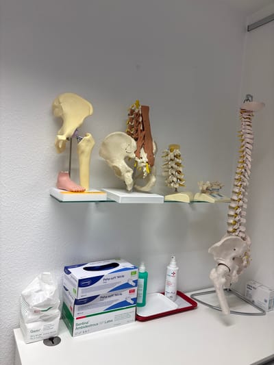 This media file shows a wall in what appears to be a medical or therapy setting in Fellbach, Germany. The primary subjects are anatomical models of the human spine and pelvis, including a portion of the leg and foot. These models are displayed on white shelves mounted to a pale gray wall.
Various medical supplies are also visible. To the right of the anatomical models, there are boxes of medical gloves, specifically "Peha-soft Nitrile" and "Sentina Ambidextrous NP Latex." Above the gloves, a box labeled "ACUPUNCTURE NEEDLES" is present. Between the anatomical models and the medical supplies, there are two spray bottles, one labeled "octenisept." A crumpled package of gauze pads is also visible at the bottom right.
The scene is brightly lit, suggesting it might be daytime, though no windows or natural light sources are directly visible. The overall impression is one of a clean and organized medical workspace. The presence of anatomical models and medical supplies indicates that the location is likely a doctor's office, a physical therapy clinic, or a similar healthcare facility. No people are visible in the image.