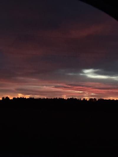 The image depicts a dusky sky with wispy clouds, tinted with shades of pink and orange, suggesting either sunrise or sunset. The right edge of the frame is dominated by a dark, silhouetted treeline against the colorful sky. The majority of the image is composed of the sky, with a hint of darker, possibly purplish clouds on the left. The overall mood is serene and natural, indicative of the transition between day and night. There is no visible text, people, or distinct objects other than the natural elements of the sky and trees. Given the location context of Kotelnich, Russia, this could be a typical rural or natural landscape view.