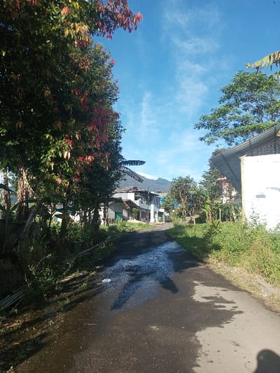 The scene is located in Khouathineung, Laos. A damp, asphalt road extends into the mid-distance, featuring scattered puddles reflecting daylight. On the left, dense vegetation, including a large tree with green and reddish foliage, and banana plants, borders the road, with some debris in the foreground ditch. On the right, overgrown grass lines the roadside, adjacent to a partially visible white building with a corrugated metal roof. Further along the road, several residential structures, varying in height and design, are observed. In the background, a mountain range is visible beneath a clear blue sky dotted with sparse, wispy clouds. No individuals or specific actions are depicted.
