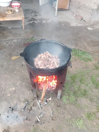This image depicts an outdoor cooking scene in Nurli zamin, Uzbekistan. A large, black cast-iron cauldron (kazan) is centrally positioned, sitting atop a cylindrical metal stove fueled by burning wood and embers. Steam rises from the cauldron, which contains a considerable quantity of small, light-brown meat pieces, likely quail, in the process of being cooked. A piece of wood extends into the stove's firebox. The ground surrounding the stove is damp, muddy soil, interspersed with patches of green grass, ashes, and small wood fragments. In the background to the left, a light-colored wooden table holds a large white bowl, a smaller red patterned bowl, and a shallow plate containing unidentified contents. To the right background, a concrete wall and a partially open doorway of a structure are visible. No individuals are present in the frame.