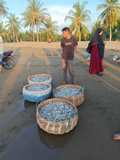 In Uleekareung, Indonesia, four woven baskets overflowing with small, silvery fish sit on a sandy beach. A man in a dark t-shirt and khaki pants stands near the baskets, looking away from the camera. To his right, a woman in a dark hijab and a long, red dress is looking at her phone. A motorcycle is parked on the left side of the image, and palm trees line the background under a hazy sky. The wet sand suggests the tide is either coming in or going out, with footprints visible in the shallow water near the baskets.