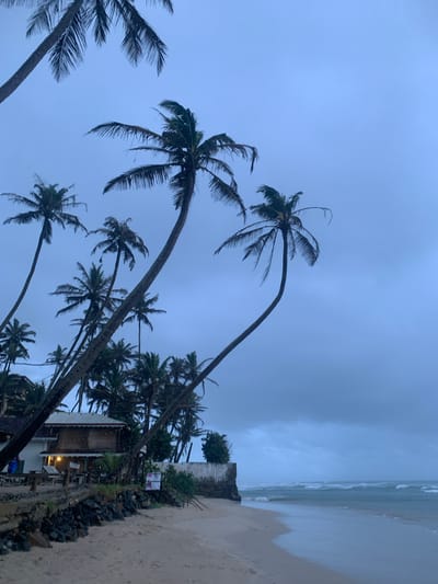 This media file depicts a beach scene in Kathaluwa, Sri Lanka, under a cloudy, overcast sky, suggesting either early morning or late evening. The foreground is dominated by several palm trees with fronds silhouetted against the pale sky, some bending dramatically towards the ground. The sand of the beach is visible to the right, meeting the gentle waves of the ocean. A small building, possibly a restaurant or shop, is nestled amongst the trees and rocks along the edge of the beach. Some lights are visible within the building, indicating it may be open or occupied. A sign with red text and a white background is affixed to the building. The overall mood is calm and somewhat somber due to the cloudy weather.