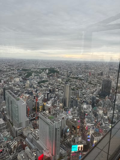 The image is an aerial view of Shibuya, Japan, from what appears to be a tall building. The sky is overcast and hazy. The dense urban landscape extends to the horizon with a high concentration of buildings varying in height, shape, and color. Near the bottom right corner, there are neon signs and billboards, indicating a commercial district. A building structure with a metal support system is visible in the upper right corner, suggesting the photograph was taken from within a structure. There are several construction cranes interspersed among the buildings, indicating ongoing development. In the distance, the city fades into a hazy skyline. The image is rotated.