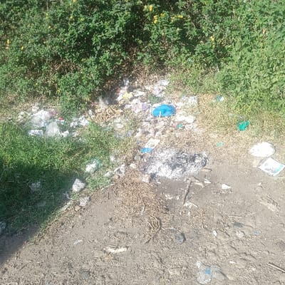 This image captures an outdoor scene in Nkaimurunya ward, Kenya, characterized by an accumulation of refuse and mixed vegetation. The ground consists of uneven, dark brown soil in the foreground, transitioning to a mix of sparse dry grass and patches of vibrant green foliage towards the mid-ground. A dense line of robust green bushes adorned with small yellow flowers occupies the upper background.
A significant quantity of assorted debris is scattered across the mid-ground. This includes numerous plastic items such as clear plastic bags, a prominent blue plastic bag, and a smaller green plastic bag. Various white paper fragments, possibly torn pages or packaging, are also visible, alongside unidentifiable pieces of plastic and organic waste. Centered in the mid-right, a distinct area of white ash and charred material indicates a past or recent burn site, with blackened earth surrounding it. Further right, a white, possibly plastic or Styrofoam, bowl-shaped object lies among the debris. No individuals, animals, or active events are present in the scene.