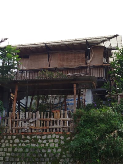 The image shows a multi-level structure with a corrugated metal roof, covered in parts by bamboo mats. The lower levels appear to be open-air, with wooden posts supporting the upper floor and roof. A rustic wooden fence with vertical planks is in the foreground, built on top of a stone wall that is partially covered with moss. Lush green foliage, including flowering plants with small purple blooms, surrounds the structure. The scene suggests a dwelling or establishment, possibly a homestay or guesthouse, situated in a natural, somewhat overgrown setting. The architectural style and vegetation are consistent with a location in Lạc Dương, Vietnam, a region known for its cooler climate and natural beauty.