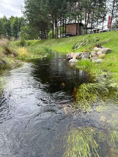The image depicts a small, clear stream flowing through a grassy, wooded area. The stream bed is visible beneath the water's surface, with aquatic plants growing in clusters. Large, smooth rocks line the bank of the stream on the right side, and beyond them, a grassy slope rises, dotted with trees. Further up the slope, there is a small wooden shed and a covered wooden structure. Several cars are parked on the upper part of the slope, and a red umbrella is visible in the background. The scene appears to be located in Juočiai, Lithuania, suggesting a rural or park-like setting. The sky is overcast, indicating a cloudy day.