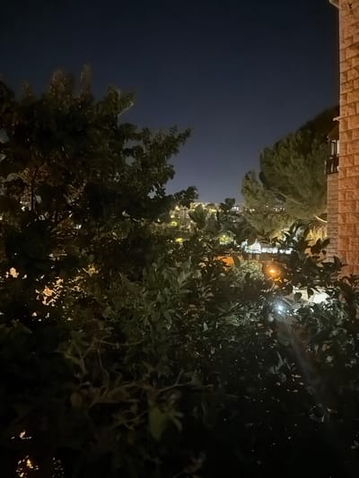 A night view from a balcony in Jerusalem, Israel, shows a cityscape illuminated by artificial lights beyond lush green trees. The foreground is dominated by the dark foliage of trees and bushes, with some branches and leaves casting shadows. In the background, distant buildings with glowing windows create a speckled pattern across the landscape. A lone streetlight with a warm orange glow is visible among the trees. To the right, a portion of a brick building, possibly part of the structure the photo is taken from, is visible, with warm light emanating from a window on an upper floor. The sky is a deep, dark blue, indicating nighttime.