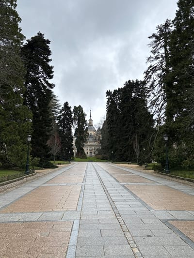An outdoor, eye-level, wide shot captures a long, symmetrical paved avenue leading directly towards the Royal Palace of La Granja de San Ildefonso, located in Real Sitio de San Ildefonso, Spain. The central pathway consists of alternating light grey rectangular pavers and wider sections of reddish-brown textured blocks, receding into the distance. This avenue is flanked on both sides by extensive green grass lawns. Tall, dark green coniferous trees, likely firs or cedars, line the entire length of the path on both sides, forming a natural corridor. Some deciduous trees with bare branches are interspersed among the evergreens. In the mid-ground, a dark-colored, traditional street lamp is positioned on each side of the pathway. A low, dark metal railing separates the left edge of the paved path from the adjacent lawn. The Royal Palace of La Granja de San Ildefonso, a large, light-colored Baroque structure with a prominent central dome topped by a spire, is visible at the distant end of the avenue. The sky is uniformly overcast with grey clouds, providing soft, diffused lighting. No individuals, animals, or vehicles are present in the scene.