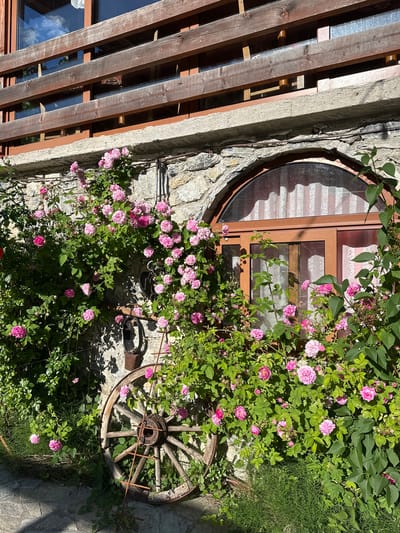 An outdoor shot captures the side of a rustic stone building with a wooden balcony above. Lush pink roses are climbing up the stone wall, surrounding a circular wooden window with a reddish-brown frame. To the left of the window, leaning against the wall, is an old wooden wagon wheel. The scene is bathed in sunlight, creating shadows on the stone and ground. The location is the city of Gusinje, Montenegro.