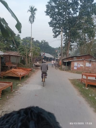 The image depicts a rural or semi-urban road in Maliat, Bangladesh, viewed from behind a person's head. In the foreground, the top of a person's dark, curly head is visible. Directly ahead, a male individual rides a bicycle away from the viewer, wearing a striped shirt or jacket. The road surface is asphalt, with dirt shoulders on both sides. To the left of the road, several disassembled wooden bed frames are arranged on the ground, adjacent to a simple structure with a corrugated tin roof. A tall, slender palm tree stands behind these structures. To the right of the road, a single wooden bed frame rests on a grassy patch, followed by a brick building with a corrugated tin roof and multiple posters affixed to its wall. A utility pole with visible wiring stands near this building. Further down the road, additional people, bicycles, and structures are visible, indicative of a village or small town setting. The sky is overcast, and the timestamp 03/12/2025 17:03 is embedded in the lower right corner.