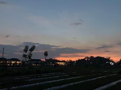 The image depicts a serene rural landscape at dusk in Banjar, Indonesia. The sky is a gradient of soft blues and oranges, indicating the sun has recently set. A few wispy clouds are scattered across the sky. In the middle ground, a row of buildings with illuminated windows suggests a residential area or a small community. The architecture appears to be traditional with arched windows and dark tiled roofs.

In front of the buildings, there are several trees, some with distinct foliage, casting shadows in the fading light. The foreground is dominated by rows of what appear to be agricultural beds, possibly covered with white sheeting, hinting at farming activities. The overall scene is one of peaceful transition from day to night. There is no visible text in the image. The time of day is clearly twilight, and the atmosphere is calm and quiet, reflecting the end of the day in a rural Indonesian setting.