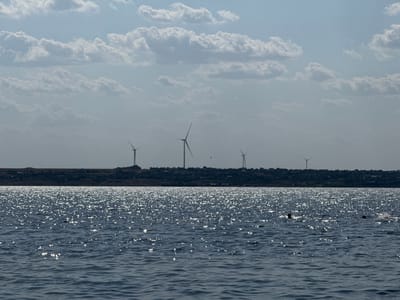The image captures a scene of the Black Sea in Kobleve, Ukraine, on a bright, cloudy day. The foreground is dominated by the choppy, dark blue water, with sunlight glinting off its surface in numerous white sparkles. Two people are visible in the water, with only their heads and shoulders showing, suggesting they are swimming or wading. Further out, a few dark shapes, possibly birds or buoys, are also present on the water.
In the middle ground, a low, dark green, tree-covered hill or embankment forms a stark silhouette against the sky. Scattered across this elevated landmass are several wind turbines, their white structures and blades clearly visible, indicating a wind farm. A line of low buildings, presumably houses or other structures, is nestled along the crest of the hill.
The background features a pale blue sky filled with voluminous, fluffy white clouds, creating a dynamic and airy atmosphere. The overall impression is one of a coastal landscape featuring both natural elements and renewable energy infrastructure.