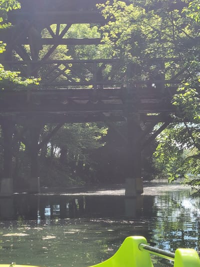 This image captures a serene waterscape in Lyon, France, under bright sunlight during the day. The scene features a body of water, likely a river or canal, flanked by lush, verdant trees and dense foliage.
On the left side of the frame, a substantial wooden structure, appearing to be an old bridge, aqueduct, or part of a canal lock system, stretches across or along the water. Its weathered timber beams and supports are visible, partly integrated with and sometimes overshadowed by the abundant greenery. Sunlight filters through the leaves, creating bright highlights and dappled shadows across the structure and the surrounding vegetation.
The water surface on the right exhibits clear reflections of the sky, the overhead trees, and elements of the wooden structure, indicating calm conditions with some gentle ripples. In the bottom right foreground, a vibrant lime-green object with a metallic rail is partially visible. This object strongly resembles a component of a small watercraft, such as a kayak, pedal boat, or leisure boat, suggesting an individual is on the water.
The overall impression is one of peaceful natural beauty, possibly a recreational area where historical infrastructure meets nature. There is no visible text in the image.