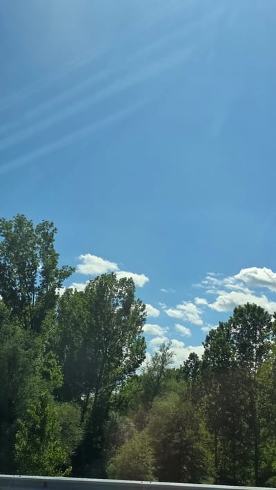 The image shows a view of a bright blue sky with scattered white cumulus clouds. A line of green trees forms the right edge of the image, obscuring part of the sky. The location of the photo is not discernable from visual evidence.
