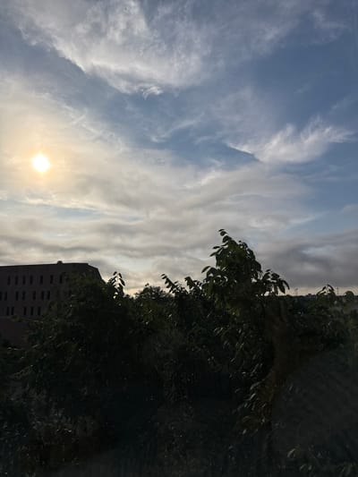 The image, rotated 90 degrees counter-clockwise, depicts a sky with scattered cirrus clouds and the sun low on the horizon, suggesting early morning or late afternoon in Austin, Texas. A building with visible windows and potentially satellite antennas is visible partially obscured by a dense tree. The lighting is dim.