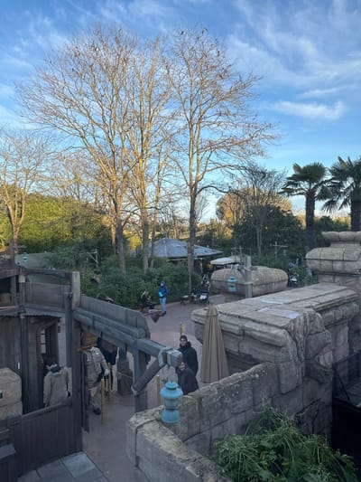 A park scene features trees, bare branches reaching towards a blue, slightly cloudy sky. Palm trees stand tall in the background. A stone structure dominates the upper right, casting shadows. People are visible in the distance and near the stone structure. In the foreground are wooden structures.