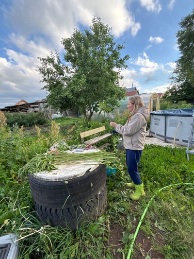 In Niva, Russia, on a cloudy day, a woman with blonde hair is standing in a garden. She is wearing a beige hooded jacket, dark blue pants, and bright green rubber boots. She is holding a few green stems in her hands, seemingly sorting them. In front of her, a large black tire is stacked on top of another tire, serving as a makeshift table. A pile of freshly cut green stems is arranged on the tire. Nearby, a wooden bench is visible, along with gardening tools including red-handled scissors and a spool of white cord. In the background, there are several wooden structures, a greenhouse, and a blue above-ground swimming pool. The garden is overgrown with green grass and various plants.