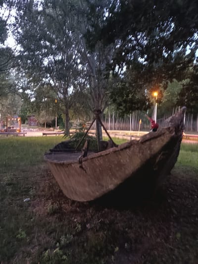 The image depicts an old, weathered boat resting on grassy ground under a canopy of trees. The boat appears to be made of a dark, possibly wooden or metal material, with a rough and textured surface. Its structure is partially visible, showing its curved hull and a portion of its rim. A small, red object, possibly a decoration or a toy, is perched on the edge of the boat towards the right side of the image. In the background, trees with dense foliage create a natural backdrop, and beyond them, a road with a streetlamp and some vertical poles are visible. The overall scene is dimly lit, suggesting it might be evening or early morning. There are no visible people in the image. The location in Viadana, Italy, is not explicitly indicated within the visual elements of the photograph itself.
