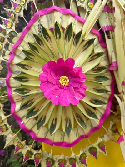 This is a close-up, overhead, forensic photograph of a vibrant, traditionally made Balinese offering or decoration in the city of Tegallalang, Indonesia. The subject is a circular arrangement of intricately folded and layered palm leaves, predominantly in shades of pale green and yellow, with darker green tips. A bright pink ribbon is woven around the outer edge of the palm leaf structure, adding a striking contrast. At the very center of the arrangement sits a single, large, fuchsia-colored flower, also made from folded petals, with a small, yellow, circular detail in its center. The background is blurred, but hints of yellow fabric or surface and dark green foliage are visible. The detail in the construction of the offering suggests it is a religious or cultural artifact, likely a "Canang Sari" or a similar type of Balinese ceremonial offering, often prepared and displayed in places of worship or as a sign of gratitude. The lighting is even, suggesting it was taken in daylight.
