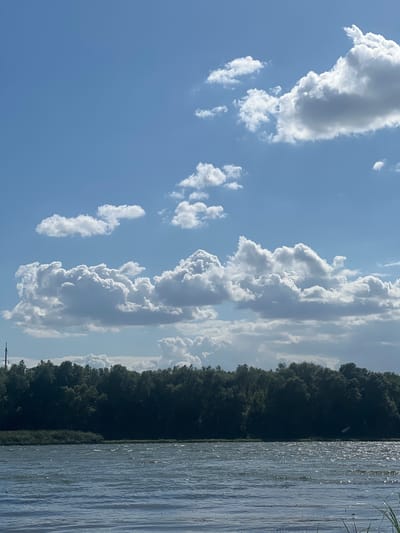 The image depicts a tranquil natural landscape. The foreground is dominated by a body of water, likely a river or lake, with its surface rippling under a gentle breeze. The water reflects the bright sky above, creating shimmering patterns of light.

Beyond the water, a dense line of dark green trees forms a lush forest, stretching across the horizon. The trees are full and verdant, suggesting a healthy, established woodland. A few sparse reeds or tall grasses are visible along the edge of the water, bordering the forest.

The sky above is a vibrant blue, dotted with numerous white, fluffy clouds. Some clouds are small and scattered, while others are larger and more voluminous, casting subtle shadows on the landscape. The overall impression is one of a clear, bright day in a rural or natural setting, possibly in the vicinity of Beloci, Moldova. There are no people or immediate human activities visible in the frame. The environment appears untouched and serene.