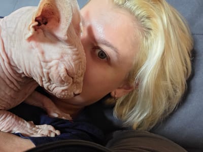 A close-up shot shows a woman with blonde hair and a Sphynx cat. The woman's face is partially obscured by the cat, with only her eye and forehead visible. She is looking directly at the camera. The cat, with its characteristic wrinkled skin, is nuzzling against the woman's face. The background appears to be a sofa. The scene suggests a domestic setting, possibly in an apartment or house. The image does not provide specific geographical clues to pinpoint its location within Восход Снт (фролово), Russia.