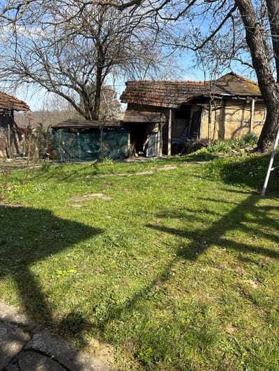 The image depicts a rural scene in Gorno Trape, Bulgaria. An old, partially dilapidated structure with a mixed construction of timber framing and brickwork is visible. Parts of the building are covered with green tarpaulin. To the left, a large, bare tree with many branches frames the building. The ground is covered in grass with visible shadows from the tree branches. A stone path borders the grassy area. The sky is partially visible through the tree branches, revealing a light blue color.