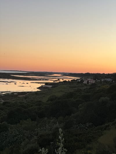 The image depicts a landscape at sunset near Vila Real de Santo António, Portugal. The scene features a waterway reflecting the warm colors of the sky. The left side of the image is dominated by the gradient of the sky, transitioning from a light grey to an orange hue. On the right side, there is a densely vegetated area with trees and shrubs. A few white buildings are partially visible along the top edge of the trees. Within the waterway, there are patches of land or sandbanks visible, along with some small boats, reflecting the light. Palm trees are also present on an island. The image has been rotated, so that the horizon appears vertical.