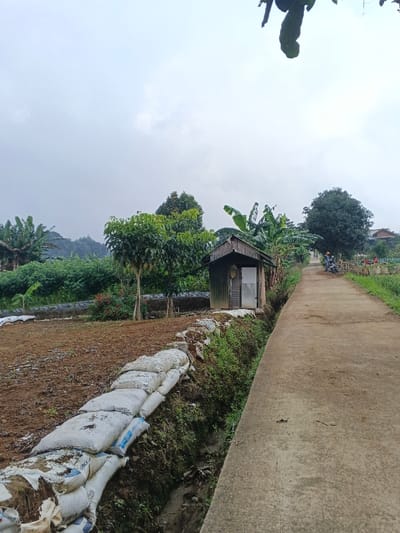 This image depicts a rural or semi-rural outdoor scene, likely in Nipa, Papua New Guinea, under an overcast sky. A narrow, light grey concrete path runs diagonally from the bottom right to the center-right of the frame, receding into the distance.
To the left of the path, a small, rustic shed stands prominently. It has a dark, weathered wooden frame and a corrugated metal roof and sides, with a light-colored metal door visible on its front. Alongside the path and below the shed is a ditch or drainage channel, whose embankment is reinforced by several white and blue bags, likely filled with sand or soil. Some of these bags have partially visible text, including "SACCO" or "SACCU."
Beyond the embankment and the shed, to the left, is an area of tilled, reddish-brown earth, suggesting agricultural activity or a garden plot. This area is bordered by lush green foliage, various trees, and several prominent banana trees. In the distance, layers of green hills are visible under the cloudy sky. Further down the concrete path, a person is seated on a dark-colored motorbike.
The scene appears calm, depicting an everyday landscape. The time of day is daytime, characterized by diffuse light from the overcast conditions.
