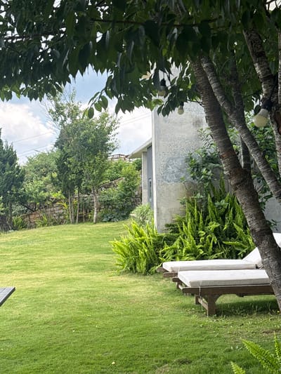 In Đa Lộc, Vietnam, a serene outdoor scene unfolds. The image captures a lush green lawn leading towards a modern building with a textured gray exterior wall. Two white chaise lounges with wooden frames are positioned on the grass, inviting relaxation. The foreground is dominated by the verdant lawn, with a glimpse of a dark wooden table edge on the left. Behind the lounges, a dense cluster of vibrant green ferns adds a tropical touch.

Further in the background, a stone wall separates the manicured lawn from a more naturalistic landscape featuring various trees and shrubs. The sky above is partly cloudy, with a soft daylight illumination suggesting it could be daytime. The environment is tranquil and appears to be a private residence or a resort area, emphasizing a peaceful and natural setting. The presence of outdoor lighting fixtures, small bulbs hanging from tree branches, suggests the space is also designed for evening use.