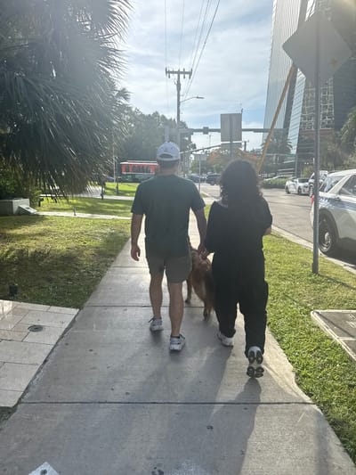 The image shows a rear view of a couple walking a dog on a sidewalk in an urban environment. The man is wearing a green t-shirt, khaki shorts, and a white baseball cap. The woman is wearing a black long-sleeved shirt and black pants. They are walking a medium-sized, light brown dog. The sidewalk is made of concrete and runs alongside a grassy area with palm trees. In the background, there are cars, a police vehicle, traffic lights, a tall glass building, and a trolley car. The lighting suggests it is daytime, with sunlight casting shadows. The scene appears to be a street in Miami, Florida, United States of America, given the presence of palm trees, a trolley car, and modern architecture.