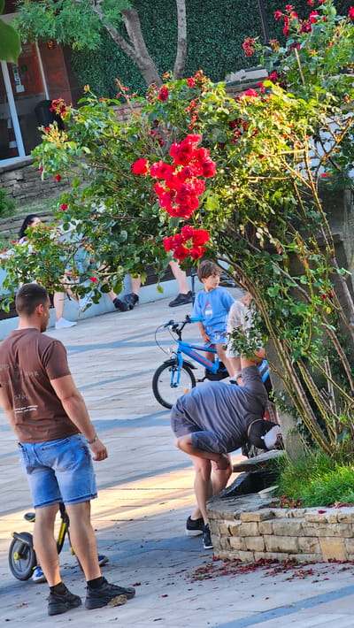 The image depicts an outdoor scene with several individuals and a rose bush in bloom. In the foreground, a man wearing a brown t-shirt and blue denim shorts is standing, facing away from the camera. To his left, a small yellow and black balance bike is visible. Further into the scene, a young boy in a blue t-shirt and shorts sits on a blue bicycle. A man in a grey t-shirt and black cap is bent over a stone planter, possibly tending to it or retrieving something. In the background, other people are partially visible, along with a brick wall and a building. The environment appears to be a park or a public area with paved pathways and greenery. The rose bush, with its vibrant red flowers, is a prominent feature of the composition. The lighting suggests it is daytime, with sunlight illuminating parts of the scene. The location is identified as the city of Karlovo, Bulgaria.