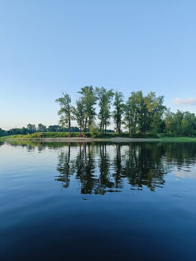 The image depicts a serene natural landscape with a body of water reflecting trees and a clear sky. The scene is set on a calm river or lake, with a small island or sandbar in the middleground. This landmass is densely covered with lush green trees, some of which appear to be poplars due to their tall, slender trunks and full canopies. The trees on the island are in full foliage, indicating a warm season, likely late spring or summer. The reflection of the trees on the water is almost perfect, creating a symmetrical and tranquil visual. The water itself is calm, with gentle ripples disturbing the mirrored image.
In the background, a line of dense forest stretches across the horizon, suggesting a vast, natural environment. The sky above is a pale, clear blue, with no visible clouds, indicating fair weather and possibly early morning or late afternoon light, given the soft illumination. The overall mood of the image is peaceful and idyllic, evoking a sense of calm and solitude. There are no people or man-made objects visible in the frame, emphasizing the untouched nature of the setting. The location context suggests this scene is in Ol'khovskoye, Russia.