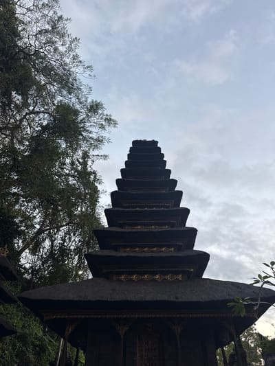 An upward-angled, low-angle full shot captures a multi-tiered, dark pagoda-style temple structure with thatched roofing and ornate gold trim. The temple is set against a cloudy, grey sky, with lush green trees and foliage visible to the left and right of the structure. The scene is likely Dawan, Indonesia, given the architectural style and vegetation, possibly representing a Hindu temple. The lighting is dim and diffused, suggesting an overcast day or early morning/late evening. No people are present in the frame.