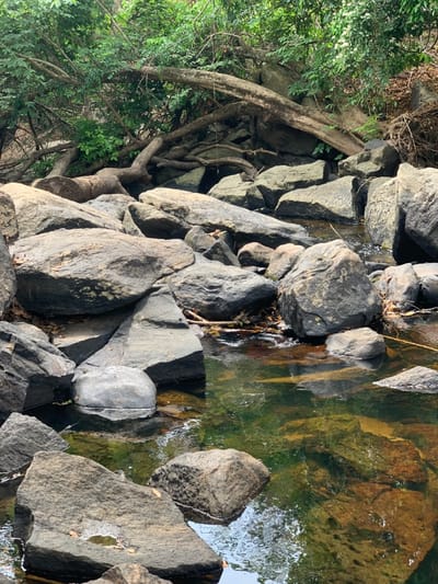 The image shows a rocky stream bed in Egbeda, Nigeria (latitude: 7.119, longitude: 5.362). The stream is shallow, with clear water flowing over large, gray rocks. The rocks are scattered and jagged, forming small pools and riffles. Dense green foliage overhangs the stream on the left side of the image. The rocks are weathered and smooth. The water appears clean and clear, with no visible signs of pollution. There are no people or animals visible in the scene.