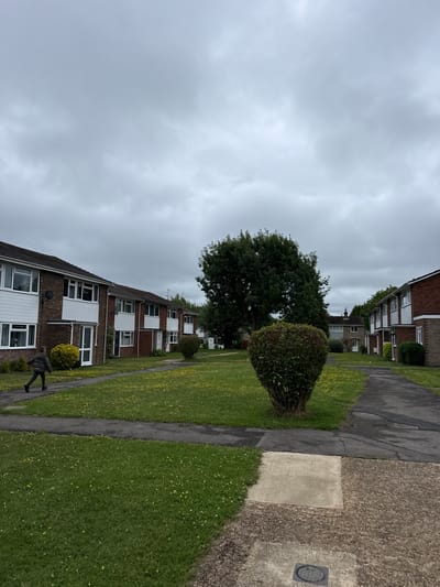 The image depicts a residential street in Hazlemere, United Kingdom, under an overcast sky. The foreground shows a paved pathway with a concrete square, leading to a gravel path. To the left, a lush green lawn dotted with small yellow flowers extends towards a row of brick houses with white siding and dark roofs. A person, viewed from behind, is walking on a paved path in the lawn, wearing a dark jacket and trousers. A large, mature tree stands prominently in the middle ground, behind a manicured circular bush. Further down the street, another row of similar houses is visible, with trees lining the background. The scene conveys a sense of suburban tranquility, with a hint of impending rain due to the cloudy weather.