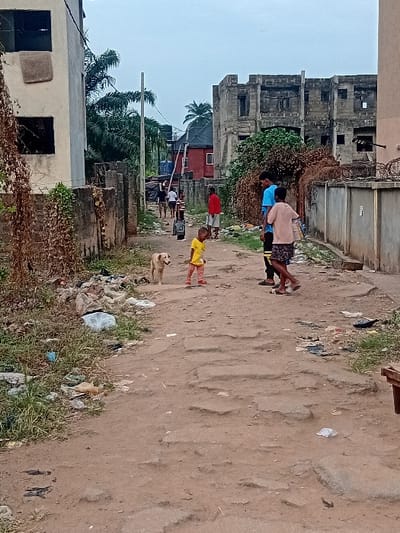 A dirt road bordered by buildings and trash. Children play near a white dog. A crumbling building is in the background. Trees are visible. The sky is overcast.