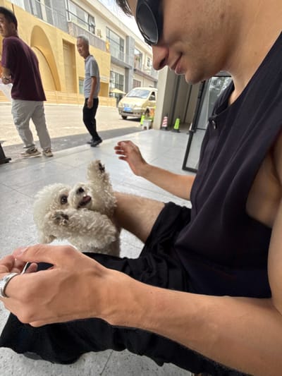 This media file captures an outdoor urban scene, likely a street or public square in Songjiang District, China, under bright daylight.

In the foreground, two individuals and a dog are the main subjects. On the left side of the frame, partially visible, is a person standing, shown from the chest up in profile, wearing a black tank top and black sunglasses. Their head is turned slightly to the right, looking downwards. On the right side of the frame, another person is either sitting or kneeling on the ground, also wearing a black tank top and black shorts. One of their hands, adorned with a silver ring, rests on their leg or near the dog.

Between these two individuals, centrally placed, is a small, fluffy white dog, possibly a Bichon Frise or Poodle mix. The dog is looking upwards with its mouth slightly ajar, appearing curious and friendly, engaging with the people.

The background reveals a paved street or sidewalk with light-colored tiles. Beyond this, multi-story buildings with various facades, including yellow/beige and gray sections with numerous windows, line the street. Two other men are visible further in the background: one in a light grey shirt and dark pants, and another in a burgundy shirt and light pants. A light-colored car is also partially seen in the distance. The overall impression is a casual, sunny day. No discernible text is clearly readable on any signs or objects within the image.