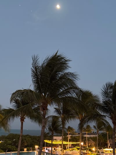 The image depicts a twilight scene in Punta Sam, Mexico, with a clear sky and a prominent moon. In the foreground, several palm trees with their fronds blowing in the wind dominate the frame. Below the palm trees, a resort area is visible with illuminated tables set for an event, suggesting a banquet or reception. A swimming pool is partially visible in the lower left corner. The ocean can be seen in the background, with a few faint lights on the water, possibly indicating boats. The overall atmosphere is serene, with the natural elements of the palm trees and the moon contrasting with the man-made elements of the resort.